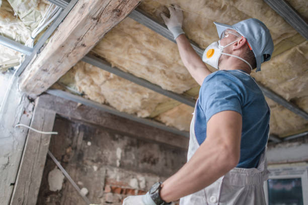 Best Insulation Maintenance and Repair in Janesville, CA