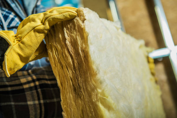 Best DIY Insulation Kits and Guidance in Janesville, CA
