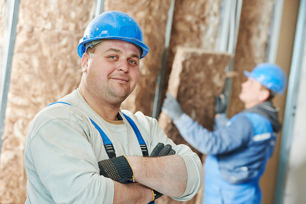 Best Blown-in Insulation in Janesville, CA