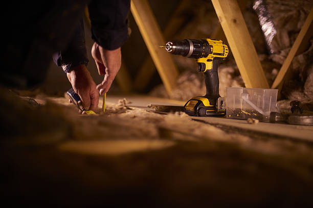 Best Geographic-Specific Insulation Services in Janesville, CA